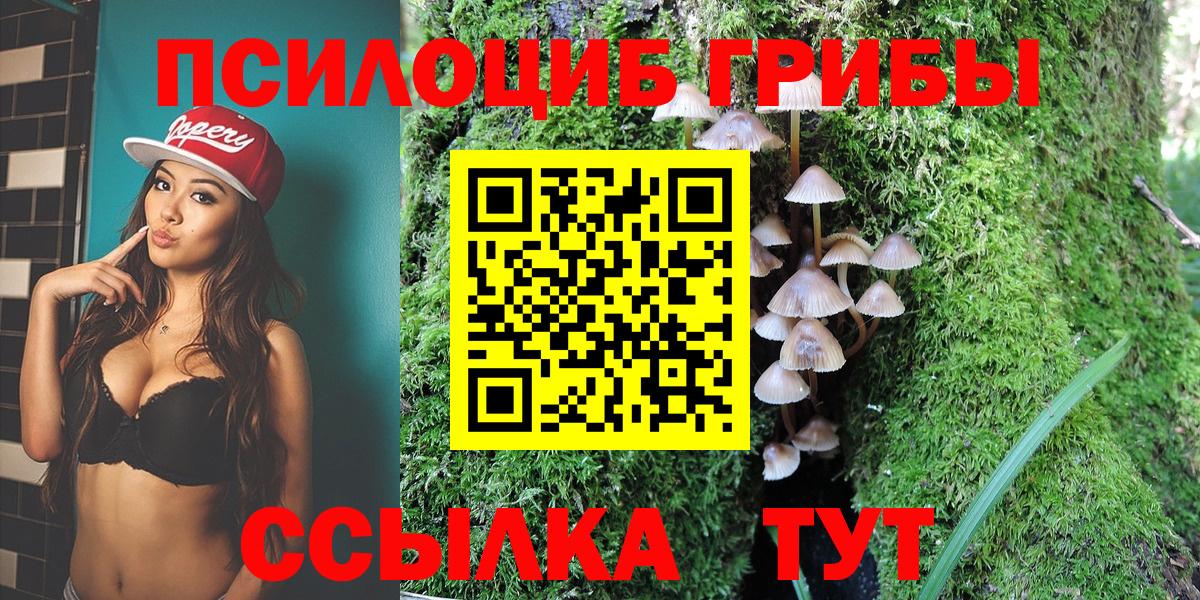 Галлюциногенные грибы мицелий Краснодар